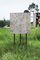 Insect City, Ivan Juarez (AIR 2018/2020)